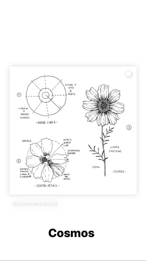 Stories • Instagram Easy Flower Drawings, Pen Art Work, Botanical Line Drawing, Flower Drawing Tutorials, Pen Art Drawings, Flower Art Drawing, Art Drawings Sketches Pencil, Flower Sketches, Floral Drawing