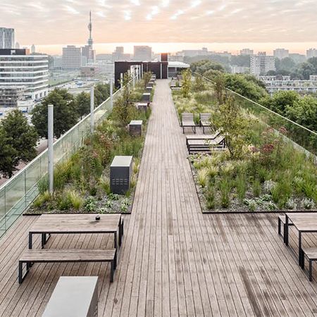 Roof Garden Landscape Architecture, Rooftop Landscape Architecture, Green Roof Balcony, Rooftop Grass Garden, Roof Gardens Design, Living Roof Garden, Green Roofs Architecture, Green Roof Terrace, Green Roof Architecture Rooftop Gardens