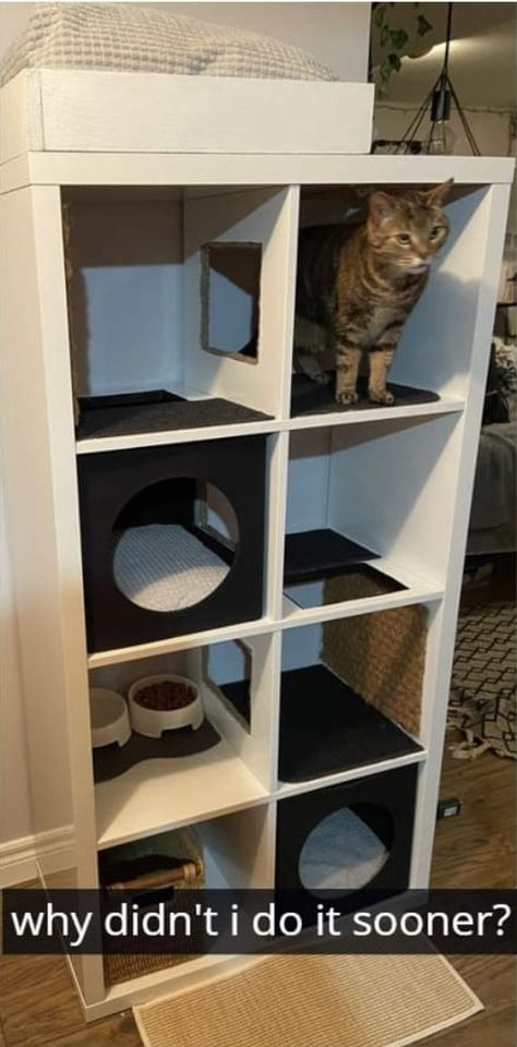 Katt Diy, Cat Room Decor, Katt Grejer, Chat Diy, Kat Diy, Cat Tree House, Diy Cat Tree, Cat Wall Furniture, Cat House Diy