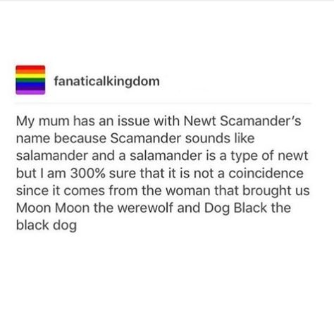 Happy Otter, Headcanon Harry Potter, Hp Universe, Harry Potter Puns, Yer A Wizard Harry, Slytherin House, Newt Scamander, Harry Potter Headcannons, Harry Pottah