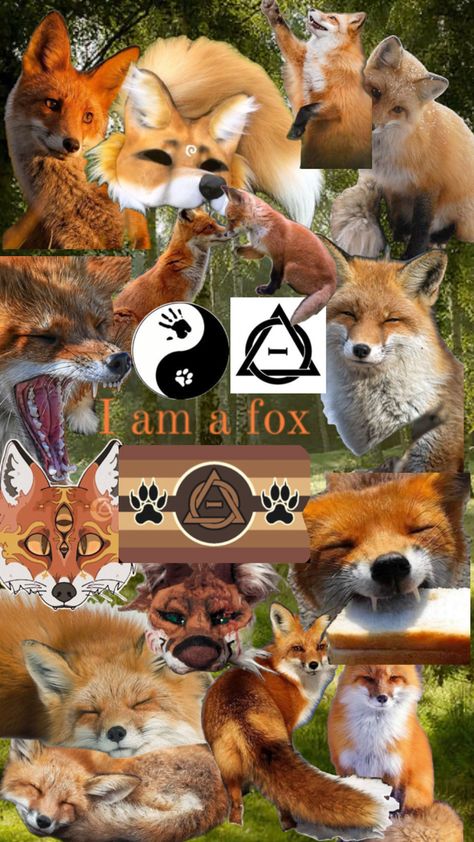 Feel free to use as a background ~ do not repost #fox #therian #therianthropy #background #fyp #foryoupage #foryou #beyourself #foxtherian Fox Background, Fox Therian, Monkey Icon, Fox Tail Keychain, Fox Pictures, Wild Animals Pictures, Cat Mask, Cute Doodles Drawings, Animal Masks