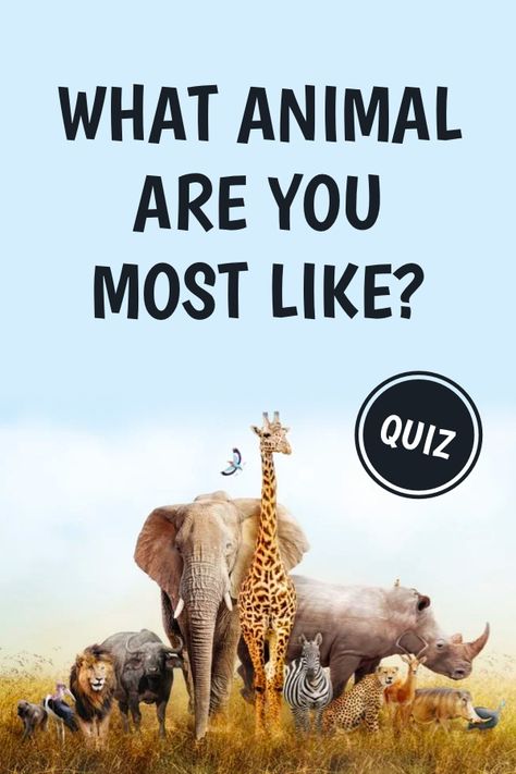 Humans aren’t as far removed from animals as we like to think. Some days, you may find yourself relating more to a ferret than a lion, but most of us know what animal we best embody. Take our quiz to find out if your result agrees! Screenshot To See What Animal You Are, Animal Personality Types, What Animal Am I Quiz, What Animal Am I, What Is My Spirit Animal, Spirit Animal Test, Spirit Animal Quiz, Whats Your Spirit Animal, Quiz For Kids