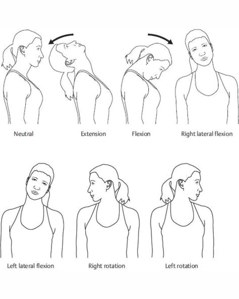 Strengthen your neck muscles with these effective neck rotations! Incorporate these neck strengthening exercises into your routine to improve flexibility and reduce stiffness. Keep your neck healthy and strong with these simple yet powerful movements. #neckstrength #neckworkout #strengtheningexercises #fitnessjourney #exercisebenefits Neck Strengthening Exercises, Rotation Exercises, Motion Drawing, Neck Strengthening, Easy Workouts For Beginners, Weights Workout For Women, How To Look Attractive, Bridge Workout, Easy At Home Workouts