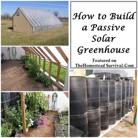 The Homestead Survival | How to Build a Passive Solar Greenhouse | http://thehomesteadsurvival.com - Gardening Passive Solar Greenhouse, Solar Greenhouse, Survival Garden, Greenhouse Shed, Greenhouse Kit, Survival Gardening, Greenhouse Plans, Passive Solar, Aquaponics System