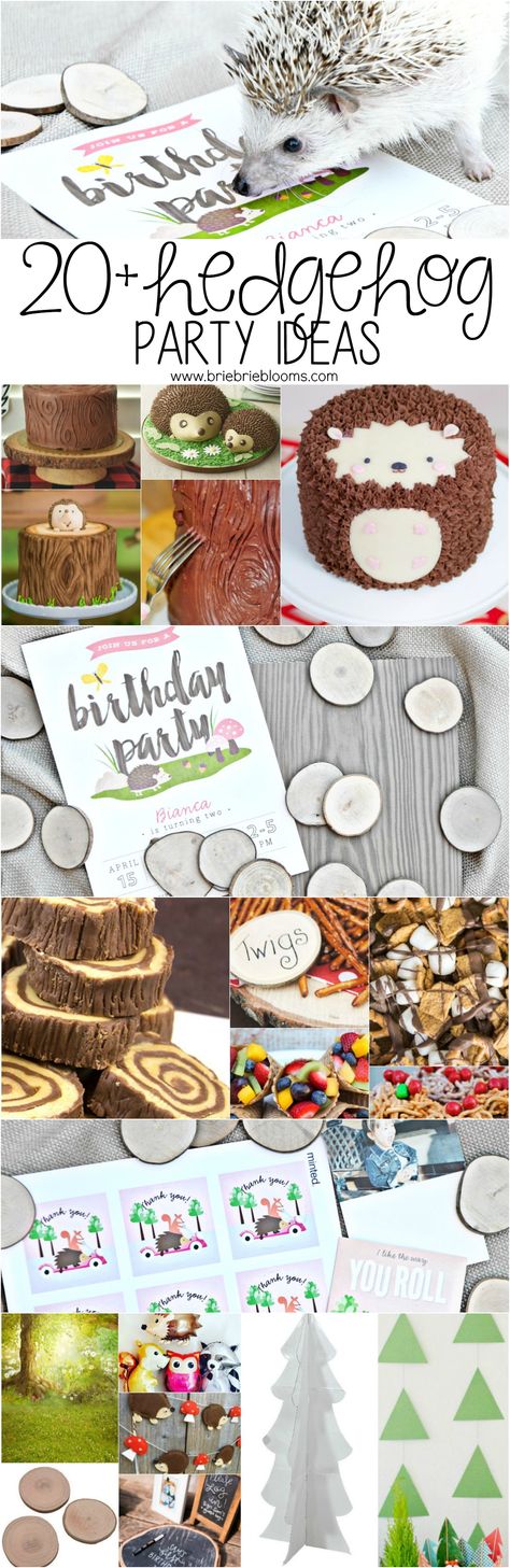 Plan the ultimate birthday party with these 20+ hedgehog party ideas! Hedgehog Baby Shower Ideas, Hedgehog Party Ideas, Hedgehog Ideas, Diy Hedgehog, Jake Baby, Hedgehog Party, Hedgehog Baby, Forest Birthday Party, Nature Party