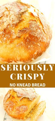 No Knead Bread Recipe, Knead Bread Recipe, Knead Bread, Best Bread Recipe, Best Bread, No Knead Bread, Dough Recipes, Easy Bread Recipes, No Knead