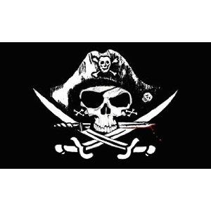 I frickin love pirate stuff. Jolly Rogers and all. Pirate Banner, Jolly Roger Flag, Skull Pirate, Masquerade Halloween, Skull Flag, Bateau Pirate, Feather Flags, Kids Birthday Party Decoration, Pirate Flag