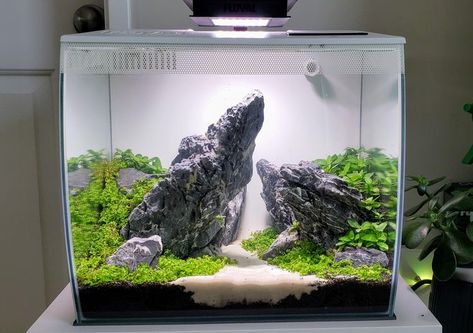 ・ Equipped with Powerful 3-Stage Filtration
・ LED Light Infrared Remote Control
・ Wide Range of Colours as well as Fun Special Effects
・ Easy Feed Large Cut Out Opening
・ Separate Rear Compartment Camouflaged with a Tinted Honeycomb Design

#fluval #aquarium #nanotank #nanoaquarium #aquascape #fishtank #bettafish #tetrafish #plantedtank #plantedaquarium #shrimptank                  aquariumfilter #fishtankideas Fluval Flex 9 Gallon Aquascape, Fluval Flex 15 Aquascape, Zen Fish Tank Ideas, Fluval Flex 9 Gallon, Fluval Flex Aquascaping, Zen Aquarium Ideas, Mini Aquarium Ideas, Aquarium Themes, Aquarium Scape