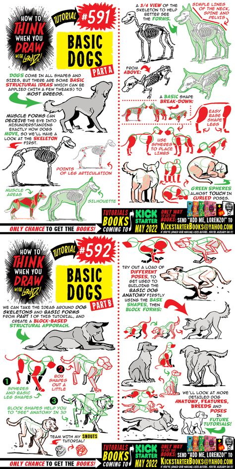 How to THINK when you draw BASIC DOGS tutorial! by EtheringtonBrothers on DeviantArt How To Draw Dogs, Draw Dogs, Etherington Brothers, Mini Tela, Dog Anatomy, Comic Tutorial, How To Think, Animal Study, Canine Art