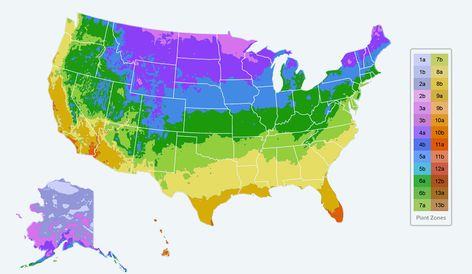 This planting zone map will teach you everything you need to know about plant hardiness and growing zones. Find your planting zone with Gilmour today! Planting Zones Map, Garden Knowledge, Tomato Planting, Planting Zones, Plant Hardiness Zone Map, Promise Keeper, Planting Calendar, Dream Plants, Climate Zones