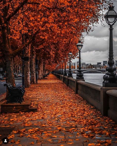 Foto Gif, Cute Fall Wallpaper, Iphone Wallpaper Fall, Autumn Magic, Tapeta Galaxie, Autumn Scenes, Autumn Scenery, Tapeta Pro Iphone, Autumn Beauty