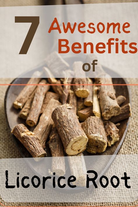 Discover the awesome benefits of licorice root and various ways of working with this wonder herb including teas, tinctures and supplements. Licorice Root Extract Benefits, Egyptian Licorice Tea Benefits, Benefits Of Licorice Root, Benefits Of Licorice Root Tea, Licorice Root Tea Benefits, Chaney Root Benefits, Licorice Tea Benefits, Wellness Basket, Licorice Root Benefits