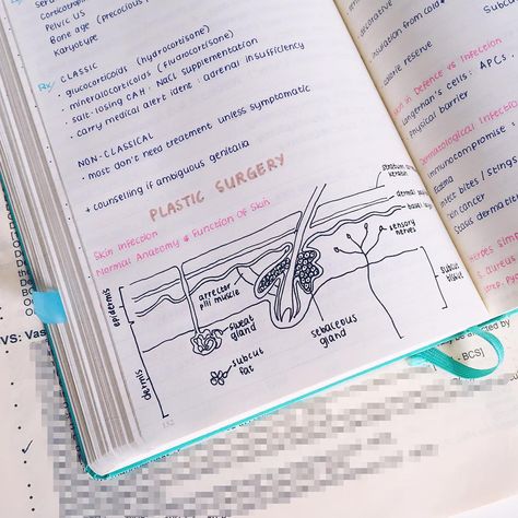 So pretty More Medicine Notes, College Notes, Biology Notes, Study Organization, Notes Organization, Pretty Notes, Notes Inspiration, Sketch Notes, Class Notes