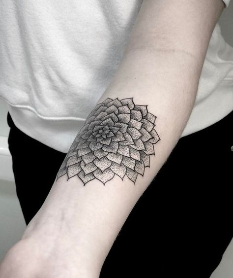 Tattoo Succulent, Succulent Tattoos, Succulent Tattoo Ideas, Succulent Arrangements Diy, Geometric Succulent, Succulent Tattoo, Succulents Wallpaper, Succulent Photography, Succulent Wedding Centerpieces