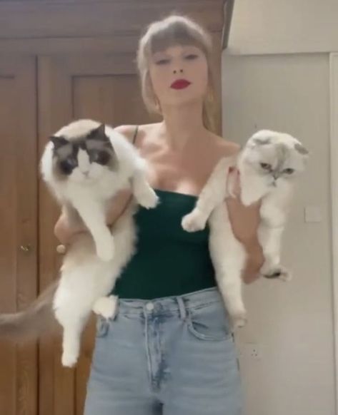 Taylor Swift Cat, Blonde Cat, Taylor Swift New, Taylor Swift Cute, Olivia Benson, Meredith Grey, Red Taylor, Long Live Taylor Swift, Taylor Swift Fan