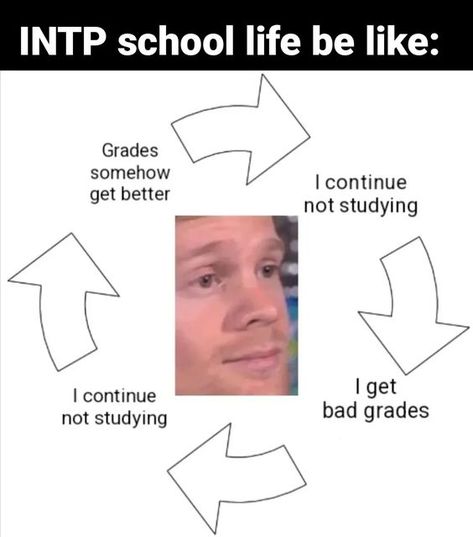 Intp T Meme, Intp Personality Characters, Intp Vs Infp, Intp Memes Funny, Intp X Infj, Enfp X Intp, Intp Type, Enfj Intp, Intp X Entp