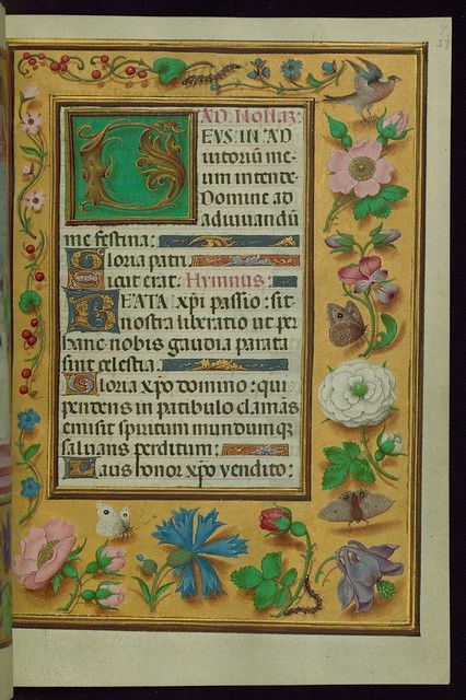 Manuscript Illumination, Book Of Hours, Medieval Manuscript, Illuminated Manuscripts, Medieval Art, Illuminated Manuscript, Ex Libris, Initials, Books