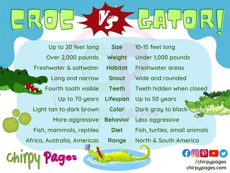 comparison of crocodile vs alligator talking about things like their Size
Weight
Habitat
Snout
Teeth
Lifespan
Color
Behavior
Diet
Range
infographic by chirpy pages Who Would Win, Saltwater Crocodile, Apex Predator, Incredible Creatures, Games Room, Fascinating Facts, North And South America, Crocodiles, Fact Sheet