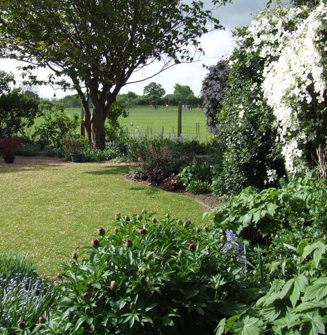 Garden With Field View, Meadow Lawn Design, Rows Of Trees Landscapes, Garden Overlooking Fields, Meadow Planting Design, Field Surrounded By Trees, Stepping Stone Paths, Cottage Garden Design, Contemporary Cottage