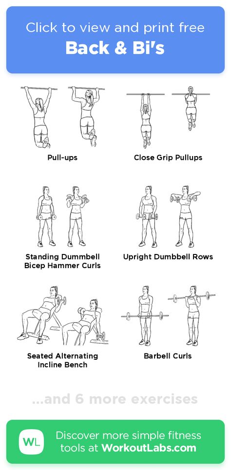 Back & Bi's – click to view and print this illustrated exercise plan created with #WorkoutLabsFit Back And Bi Workout, Bi Workout, Bicep Workouts, Back And Bis, Workout Labs, Barbell Curl, Incline Bench, Hammer Curls, Exercise Plan