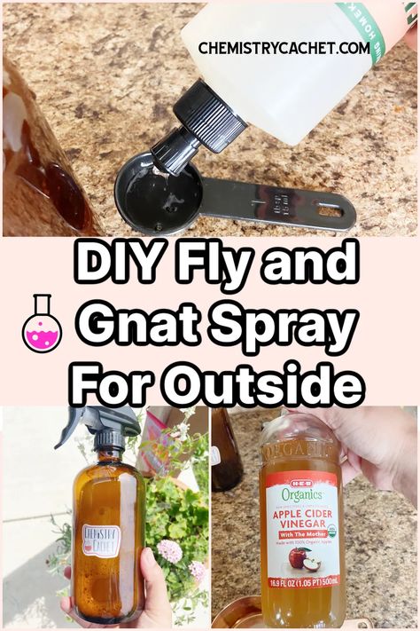 Check out our easy DIY fly and gnat repellent spray for outside! These simple and safe ingredients will help keep the flies away from you this season. It also helps with gnats. We share the science on why it works too Gnat Repellant, How To Repel Flies, Diy Flies Repellent, Fly Remedies, Fly Repellant Diy, Gnat Spray, Repel Flies, Ant Spray, Bug Repellant