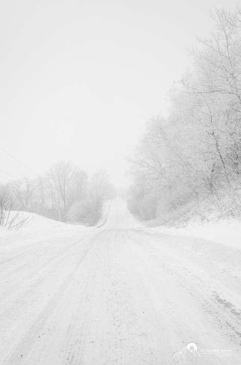 I Love Snow, Winter Mood, Winter's Tale, Winter Love, Winter Magic, Winter Scenery, Winter Beauty, Snow Scenes, Snowy Day