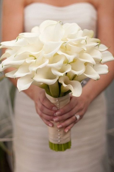 calla lilies wedding bouquet for spring beach wedding White Calla Lily Wedding Bouquet, Spring Beach Wedding, White Calla Lily Bouquet, Beach Bouquet, Calla Lily Bouquet Wedding, Calla Lily Wedding, Spring Wedding Bouquets, Cheap Wedding Flowers, Purple Wedding Bouquets