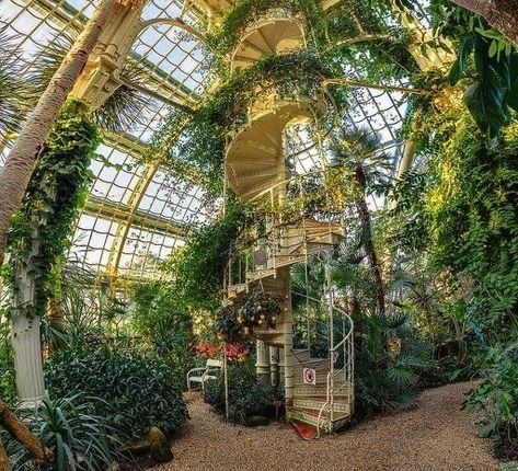 Solar Punk, Plants Growing, Earthship, Dream House Decor, Beautiful Architecture, Nature Aesthetic, Glass House, Fairy Core, Pretty Places