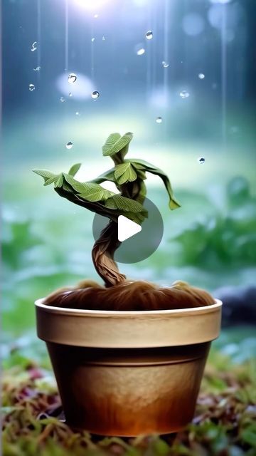 562 likes, 15 comments - plant_vault on April 2, 2024: "My plants during the first Spring rain 🌧️ Share with a plant lover 📲  🎥 DM for video credit #aiart #abstractart #nature #gardening #plants #houseplants #plantart #gardenart". Flower Dance, Gardening Plants, Spring Rain, Video Credits, Plant Art, Vaulting, Plant Lover, Garden Art, House Plants