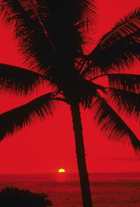 Red Aesthetic Sunset, Beach Red Aesthetic, Red Ocean Aesthetic, Summer Red Aesthetic, Red Summer Wallpaper, Red Beach Aesthetic, Red Sunset Wallpaper, Red Sunset Aesthetic, Red Summer Aesthetic