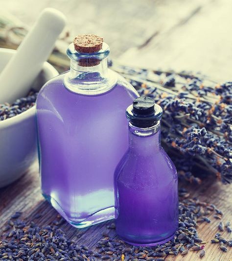 Benefits Of Lavender Oil, Lavender Oil For Skin, Benefits Of Lavender, Oil For Curly Hair, Coconut Oil Hair Growth, Lavender Benefits, Coconut Benefits, Coconut Oil Hair Mask, Lavender Fragrance