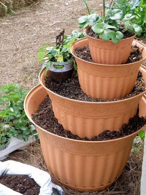 Stacked Pots Flower Pot Tower, Stacked Pots, Strawberry Tower, Strawberry Pots, Black Nursery, Edible Gardens, Strawberry Planters, Play Garden, Flower Tower