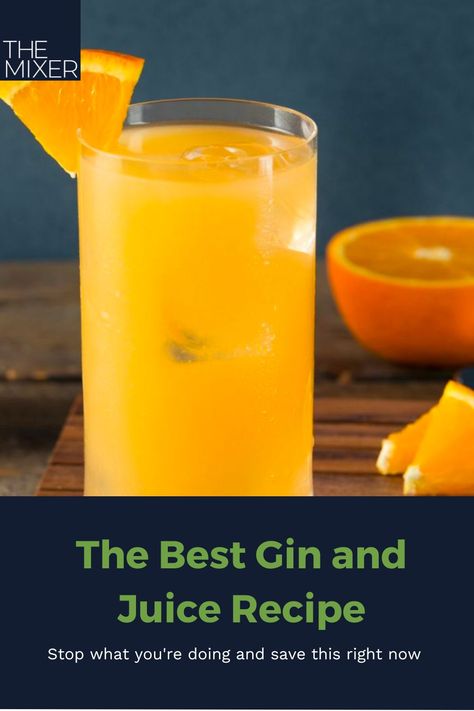 You don't need to block out an hour, this gin and juice recipe takes literal seconds to make. Tap the link to save it right now! Gin And Juice Recipe, Gin And Juice, Best Gin, Juice Recipe, Grapefruit Juice, Classic Cocktails, Snoop Dogg, Gin, How To Introduce Yourself