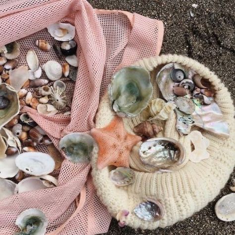 Rosemary, Mermaid, Shells, Pink, Instagram