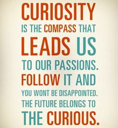 Curiosity is the compass that leads us to our passions. Follow it and you won't be disappointed. The future belongs to the curious. // 25 Engaging Quotes About Curiosity of All Time - EnkiVillage Critical Thinking Quotes, Curiosity Quotes, Welfare Quotes, Engagement Quotes, Believe In Yourself Quotes, The Compass, Thinking Quotes, Uplifting Quotes, Positive Attitude