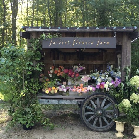 Farmers Market Stand, Flowers Farm, Cut Flower Farm, Flower Truck, Flower Business, Flower Cart, Garden Stand, Flower Farmer, Flower Bar