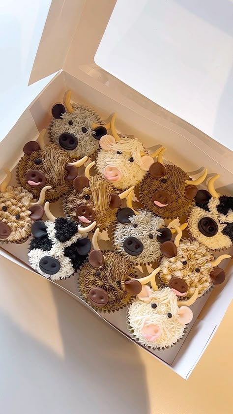 Wild West Cupcake Ideas, Longhorn Cow Cupcakes, Hyland Cow Cupcakes, Diy Cow Cupcakes, Western Cupcake Ideas, Cow Birthday Cakes, Cow Cupcakes Ideas, Cow Print Cupcakes, Cow Desserts