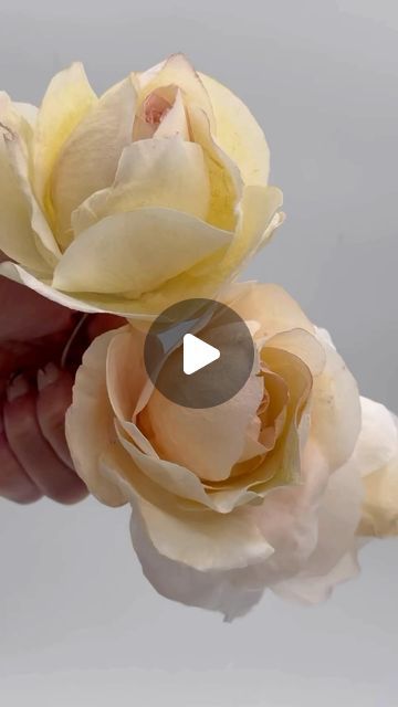 Fondant Flower Tutorial, Rose Molds, Big Wedding Cakes, Wafer Paper Flowers, Brides Basket, Baby Shower Table Decorations, Gum Paste Flowers, Fondant Flowers, Wire Flowers