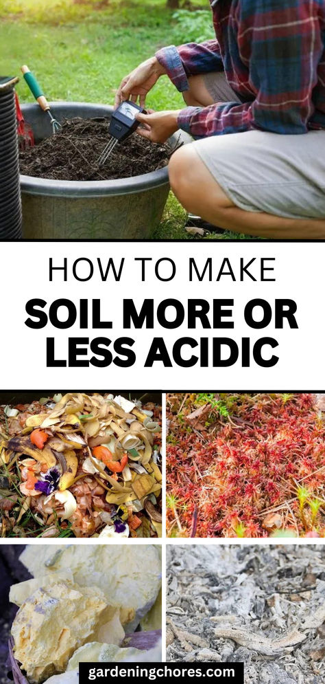 How to make soil more or less acidic Prepping Soil For Vegetable Garden, Testing Soil Ph, How To Make Soil More Acidic, Soil Nutrients, Acidic Soil, Soil Erosion, Acid Loving Plants, Ph Levels, Soil Ph