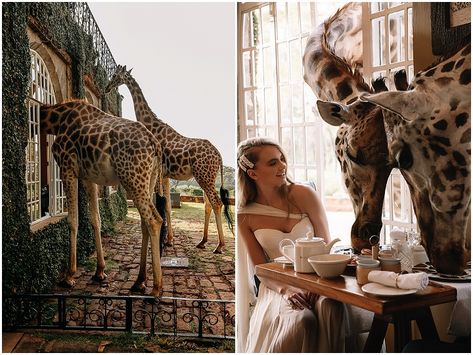 Giraffe Manor Kenya, Giraffe Hotel, There Is No Right Time, Giraffe Manor, Travel Photography Europe, Happy Wife Happy Life, Africa Do Sul, Boho Wedding Inspiration, Africa Safari