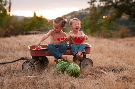 Watermelon Mini Session Ideas, Watermelon Pics, Toddler Boy Photography, Watermelon Pictures, Sibling Photo Shoots, City Portrait, Mini Photo Sessions, Watermelon Baby, Toddler Photoshoot