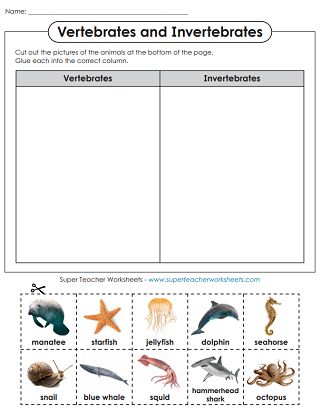 Invertebrates Vs Vertebrates, Invertebrates And Vertebrates Worksheets, Vertebrates And Invertebrates Project, Invertebrates Activities For Kids, Vertebrates And Invertebrates Activities, Vertebrates Worksheets, Invertebrates Classification, Vertebrates And Invertebrates Worksheets, Invertebrates Worksheet