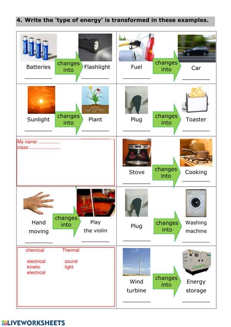 Energy Transformations Activities, Characteristics Of Living Things, Transfer Of Energy, Kinetic And Potential Energy, Energy Transformation, Sound Energy, Energy Transformations, Potential Energy, Kinetic Energy