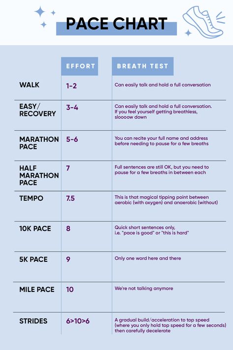 2 Week 5k Training Plan, 12 Week Half Marathon Training Plan Intermediate, Sparta Workout, Running Plans, Fartlek Workout, Marathon Training Plan Beginner, Beginner Half Marathon Training, Half Marathon Training Schedule, Marathon Prep