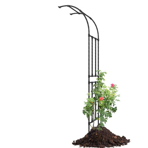 PRICES MAY VARY. 【Sturdy and durable】Made of high-quality galvanized steel pipe coated with plasticwith strong strength, this arch flower rack vine frame provides a stable and long-lasting support for your climbing plants 【Size specifications】 Length: 24in, height: 94.5in, width: 15.8in. The arch flower trellis is the perfect choice to enhance the beauty of your home courtyard, creating an amazing landscape for your garden 【Easy assembly】: Designed with modular assembly and pre-drilled posts, th Plant Trellis Outdoor, Trellis Front Of House, Woods Garden, Trellis Arbor, Climbing Plants Outdoor, Wrought Iron Trellis, Home Courtyard, Arbor Trellis, Grape Vine Trellis