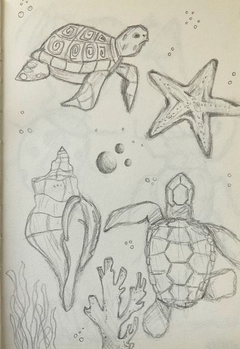 Ocean Animal Sketches Easy, Cute Aesthetics Drawings, Turtle Sketch Simple, Cute Sea Life Drawings, Cute Drawings Turtle, Ocean Drawings Aesthetic, Ocean Inspired Drawings, Marine Life Drawing Simple, Drawings Sea Creatures Art