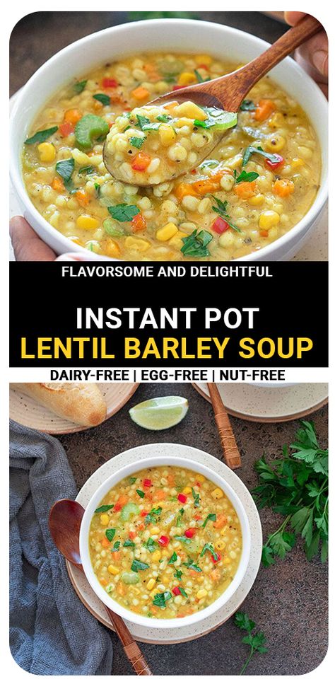 Barley Lentil Soup, Soup Barley, Pressure Cooker Lentils, Lentils Instant Pot, Nutritious Soup, Vegetable Barley Soup, Lentil Vegetable Soup, Lentils Vegan, Barley Recipe