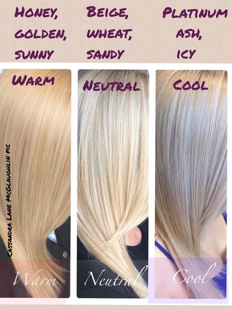 Blonde Blonde Variations, Cool Tone Hair Colors, Base Hair Color, Neutral Blonde Hair, Cool Blonde Hair Colour, Warm Blonde Hair, Beige Blond, Neutral Blonde, Hair Color Formulas