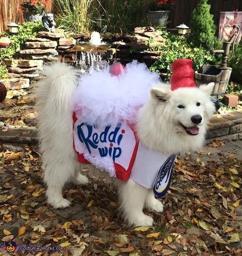 White Dog Halloween Costumes, White Dog Costumes, Halloween Pets, 2015 Halloween Costumes, Cream Dog, Dog Costumes Funny, Cheap Halloween Decorations, Halloween 23, His Personality