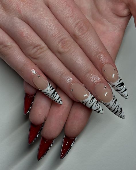 u already know with the zebra stripes and the red bottomsssss👠🦓 Green And Zebra Nails, Red And Zebra Nails, Long Zebra Nails, Blood Splatter French Tip Nails, Zebra Print Almond Nails, Zebra Design Nails, Y2k Zebra Nails, Red Funky Nails, Zebra Almond Nails